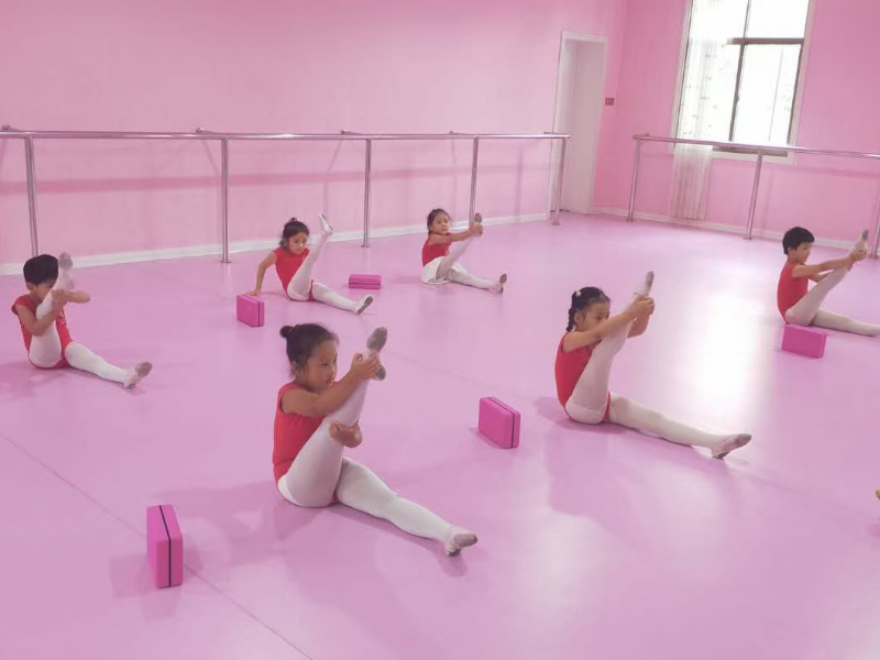 郴州市北湖區喜羊羊幼兒園師生風采